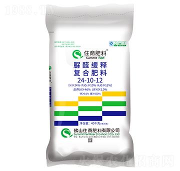 ��ȩ��ጏͺϷ���24-