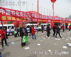 1988.TV�����ˆT�����w�P���������